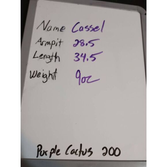 Cassel Shirt‎ Ladies 3x White Button Front Semi Sheer Coastal Beach - Picture 7 of 7